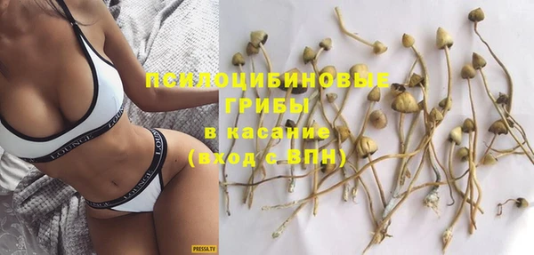 спайс Аркадак
